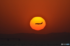 2018-5-4 夕日と飛行機2　 B737