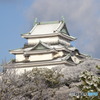 雪の和歌山城