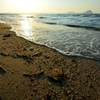 The end of summer
