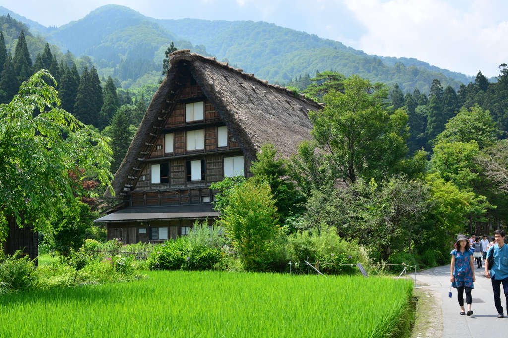 合掌造り