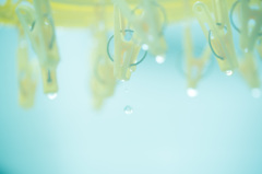 雨