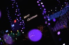 メリークリスマス