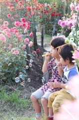 花畑でシャボン玉