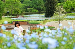 ネモフィラの咲く公園で 4