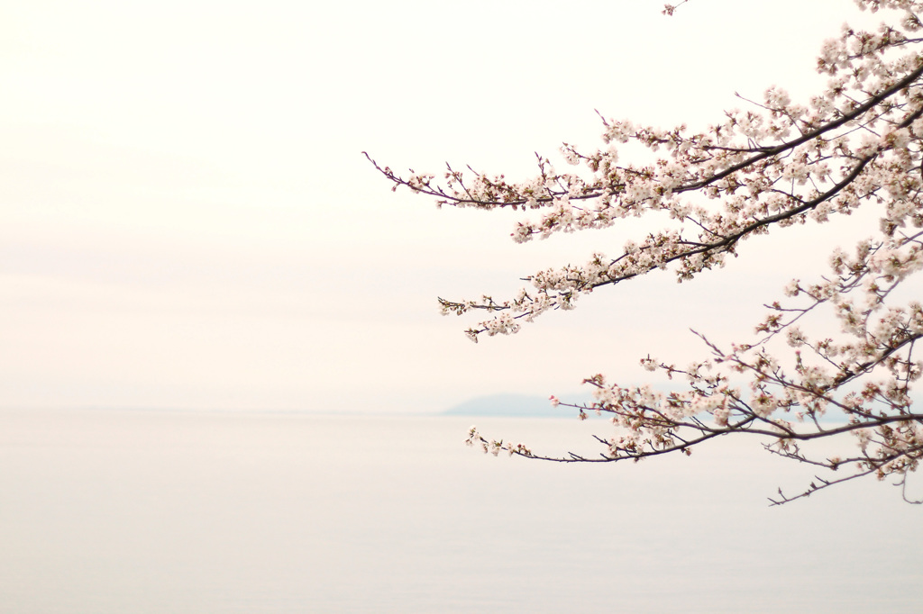 湖畔の春 1