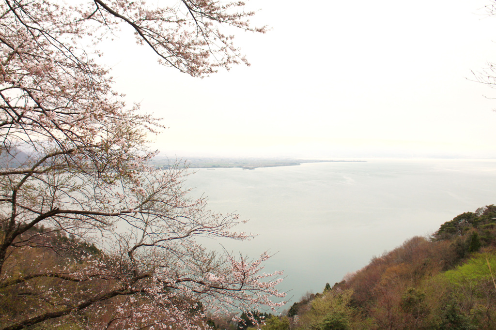 湖畔の春 2