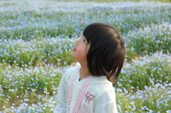 ネモフィラの咲く公園で　2