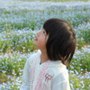 ネモフィラの咲く公園で　2
