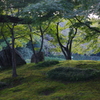 苔生す丘