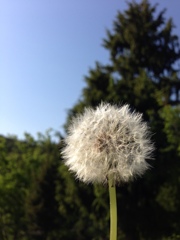 旅立ち