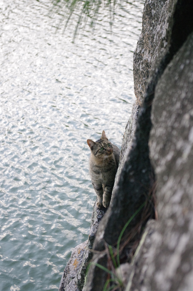 あそこに行きたいな