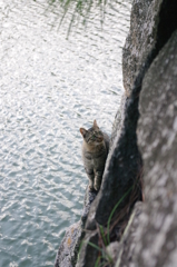 あそこに行きたいな