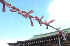 ねがい