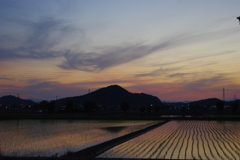 夕暮れ時は寂しそう