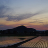夕暮れ時は寂しそう