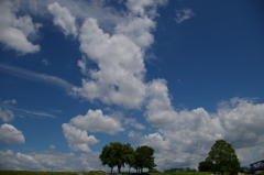 梅雨の晴れ間