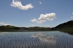 水田鏡