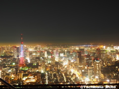 東京タワーがトリコロールに！