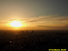 夕陽に照らされる渋谷の街