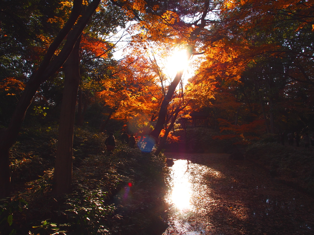 2012年紅葉の六義園