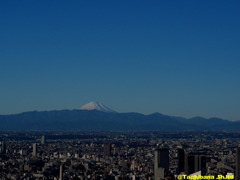 絶景富士山