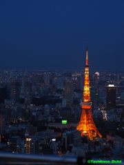 夕闇の東京のシンボル