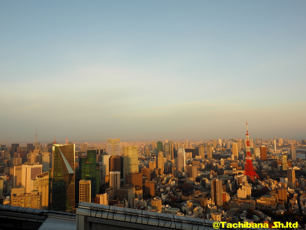 雨上がりの夕焼けに・・・