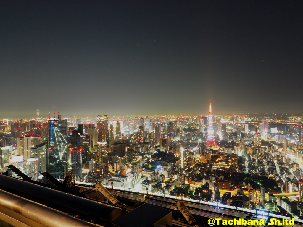 今年の正月は夜景日和