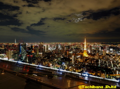 東京の夜景は良い〜