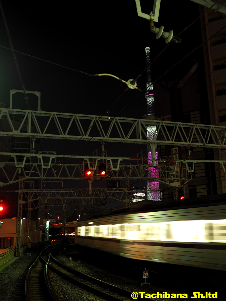 電車とスカイツリー