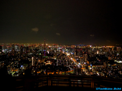 スカイデッキからの夜景