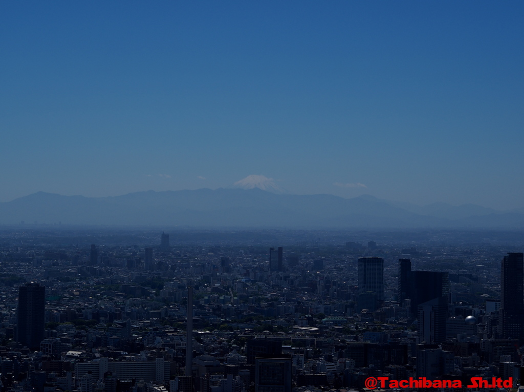 富士山