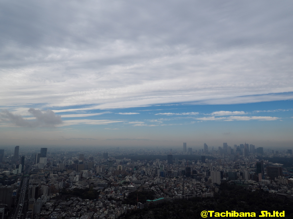 東京の雨上がり