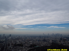 東京の雨上がり