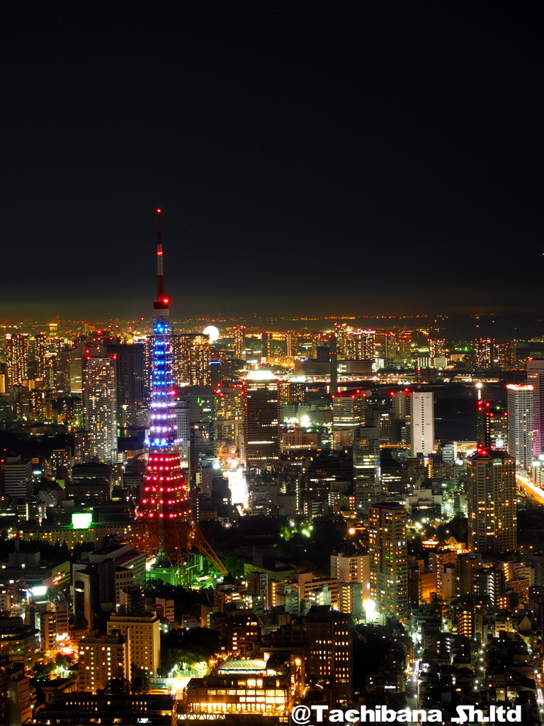 東京タワーがトリコロールに！