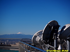 屋上っぽさが出たかな・・・