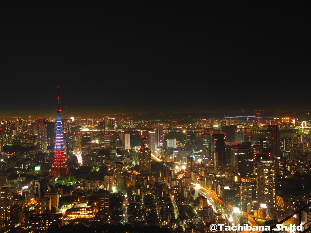 東京タワーがトリコロールに！