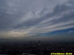 雨上がりの昼景