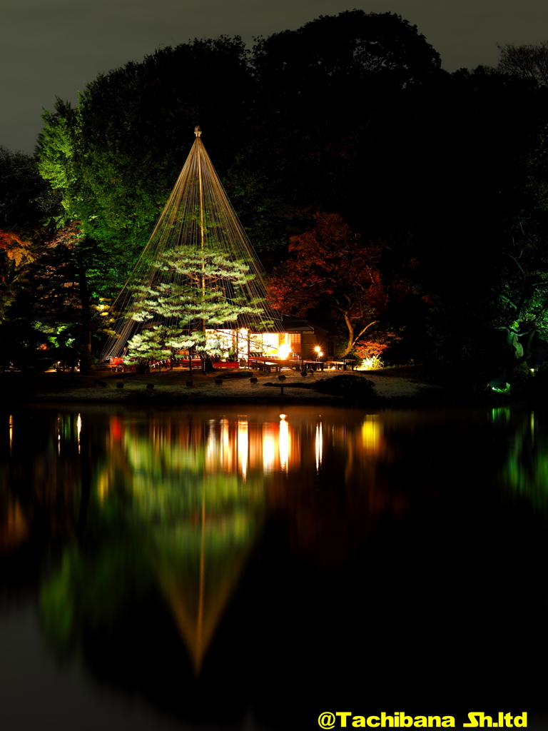 六義園の紅葉2016