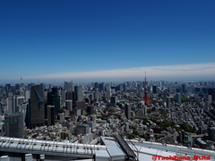 今日は天気がいいです！