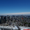 今日は天気がいいです！