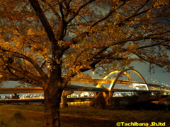 五色桜大橋