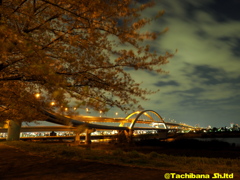 五色桜大橋