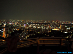 スカイデッキからの夜景