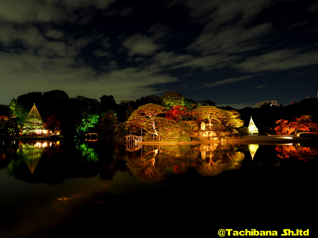 六義園の紅葉2016