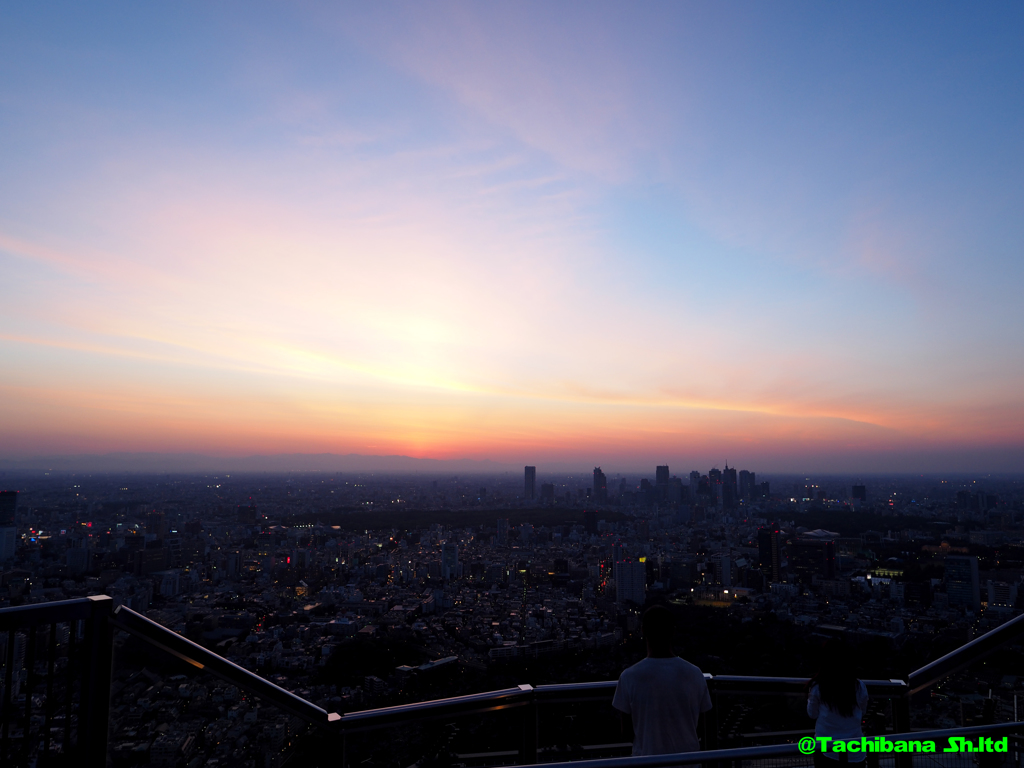 夕焼けの新宿高層ビル