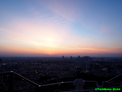 夕焼けの新宿高層ビル