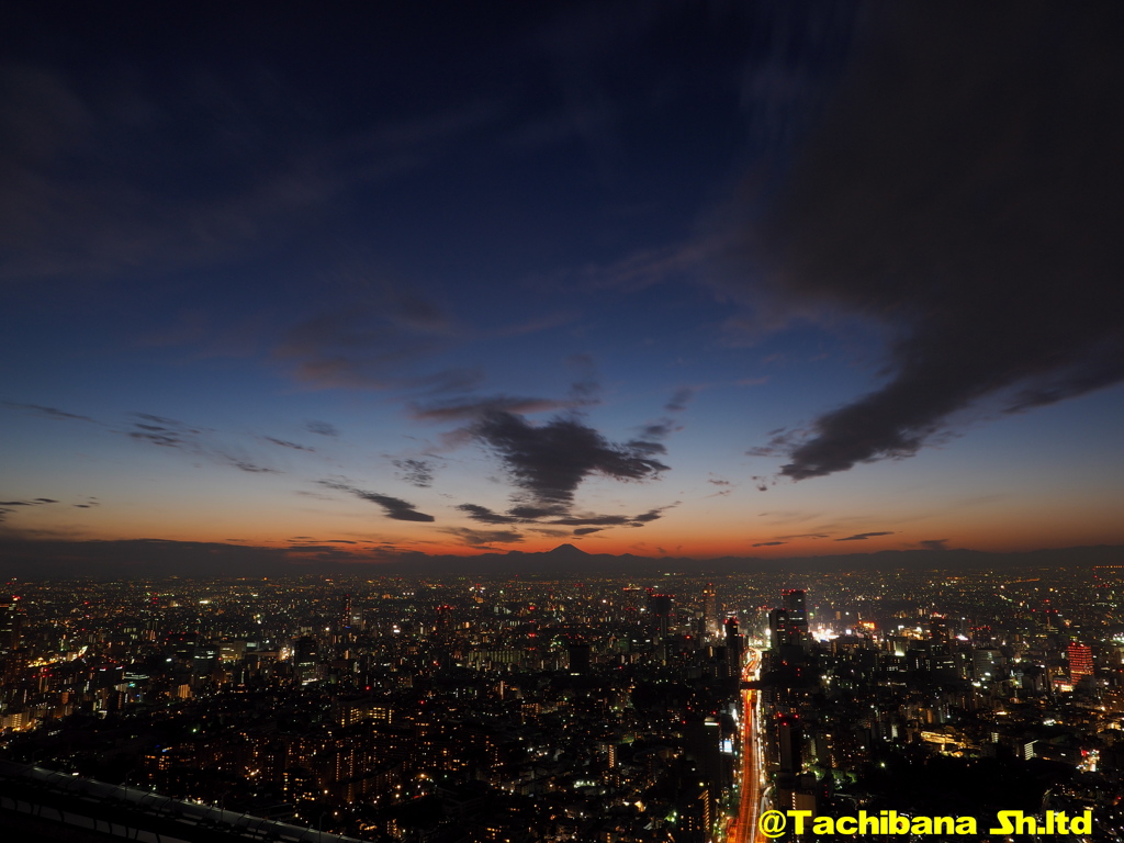 冬の景色ですね