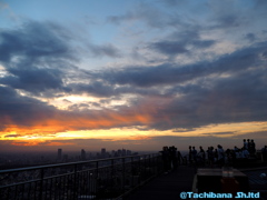 夕陽鑑賞会