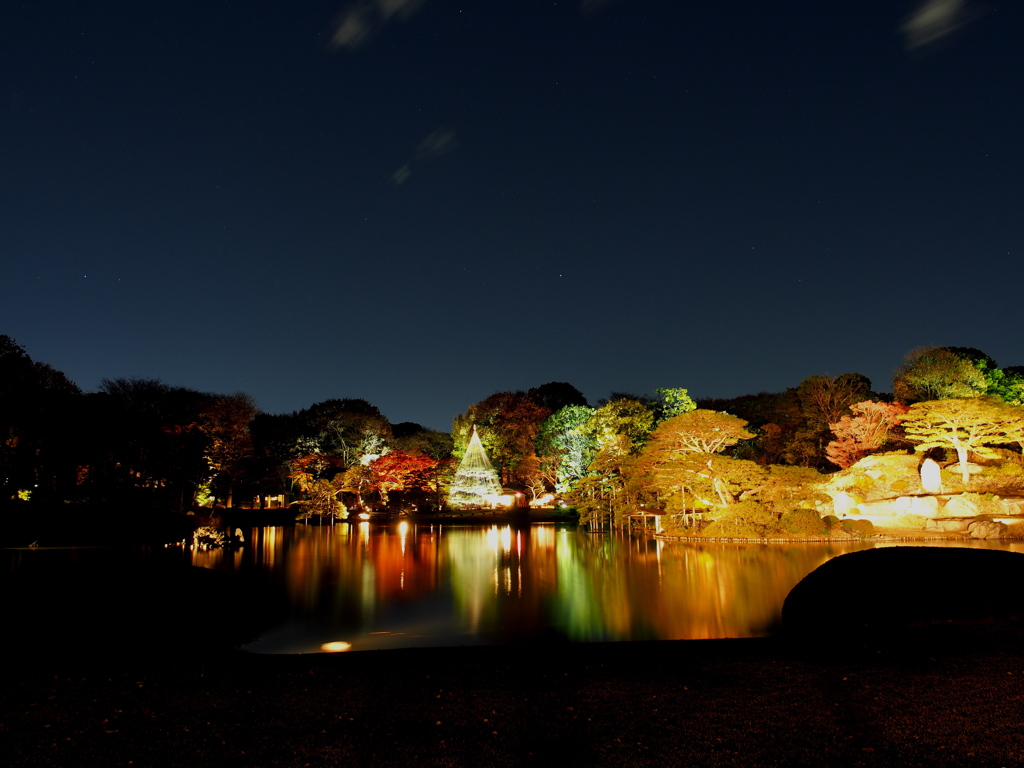 2012年紅葉の六義園　夜景